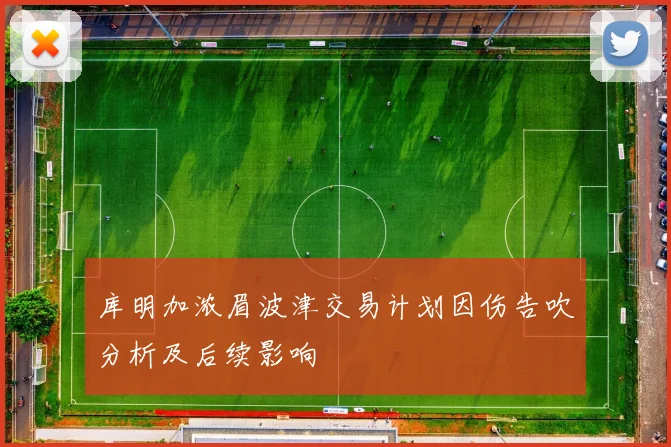 库明加浓眉波津交易计划因伤告吹分析及后续影响